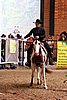 PAS06_0886.jpg
