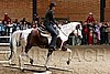 PAS06_0901.jpg