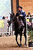 PAS06_0928.jpg