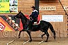 PAS06_0934.jpg
