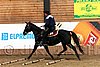 PAS06_0935.jpg