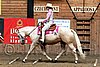 PAS06_0948.jpg