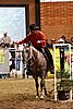 PAS06_0964.jpg