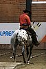 PAS06_0966.jpg
