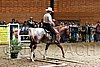 PAS06_0977.jpg
