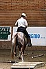 PAS06_0978.jpg