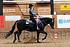 PAS06_0850.jpg