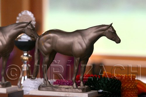 PAS06_0055.jpg