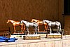 PAS06_0209.jpg