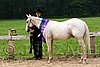 PAS06_0561.jpg