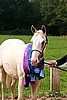 PAS06_0573.jpg