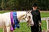 PAS06_0577.jpg