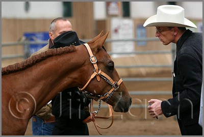 QH061_0004n.jpg (30,7 KB)