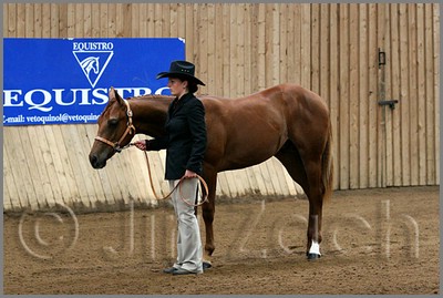 QH061_0007n.jpg (40,3 KB)