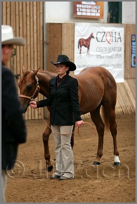 QH061_0008n.jpg (37,0 KB)