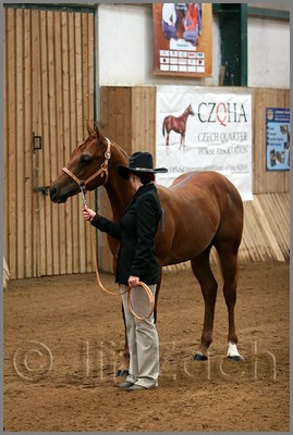 QH061_0009n.jpg (39,0 KB)
