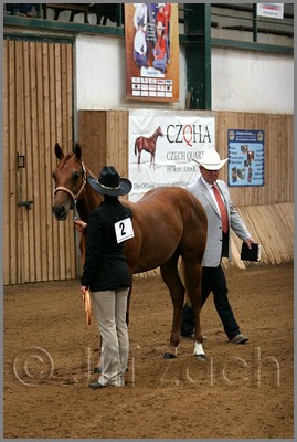 QH061_0012n.jpg (40,6 KB)