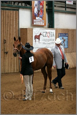 QH061_0013n.jpg (40,4 KB)