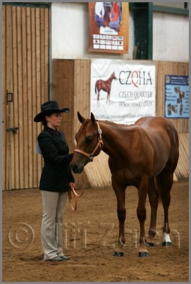 QH061_0014n.jpg (37,4 KB)