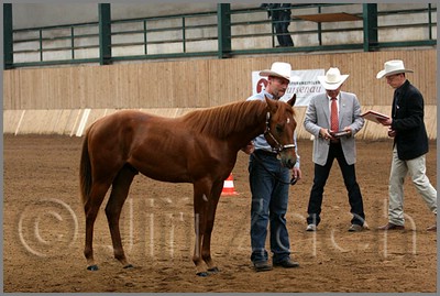 QH061_0015n.jpg (41,8 KB)