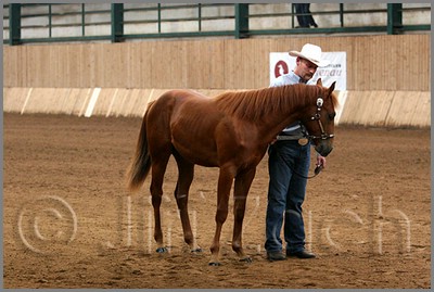 QH061_0016n.jpg (39,3 KB)