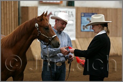 QH061_0019n.jpg (31,4 KB)