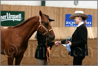 QH061_0020n.jpg (34,6 KB)