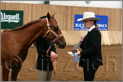 QH061_0021n.jpg (34,4 KB)