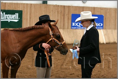 QH061_0022n.jpg (34,5 KB)