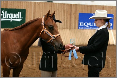 QH061_0023n.jpg (34,7 KB)