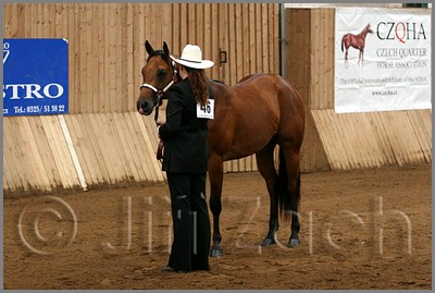 QH061_0030n.jpg (39,1 KB)