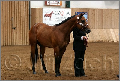 QH061_0031n.jpg (36,5 KB)