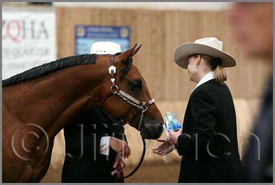 QH061_0032n.jpg (28,1 KB)