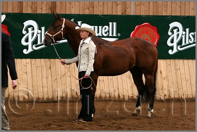 QH061_0034n.jpg (42,2 KB)