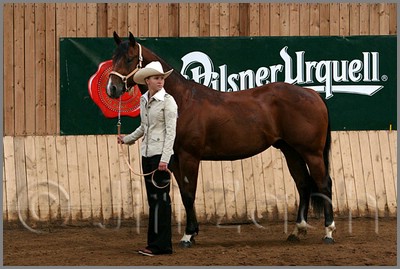 QH061_0036n.jpg (41,1 KB)