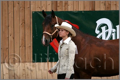 QH061_0041n.jpg (35,0 KB)