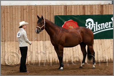 QH061_0044n.jpg (41,3 KB)