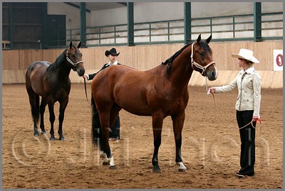 QH061_0045n.jpg (42,4 KB)