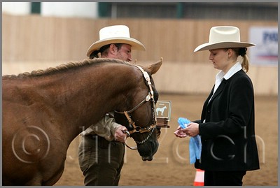 QH061_0049n.jpg (29,1 KB)
