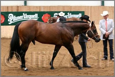 QH061_0053n.jpg (38,6 KB)