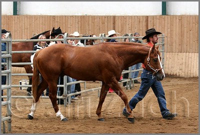 QH061_0054n.jpg (41,1 KB)
