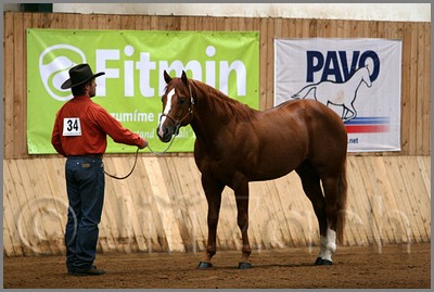QH061_0057n.jpg (40,3 KB)