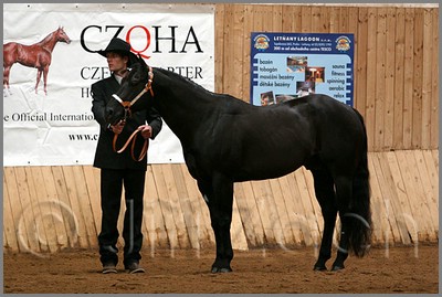 QH061_0058n.jpg (41,6 KB)