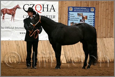 QH061_0060n.jpg (40,9 KB)