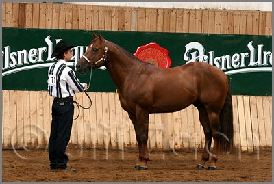 QH061_0062n.jpg (43,1 KB)