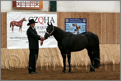 QH061_0063n.jpg (40,5 KB)