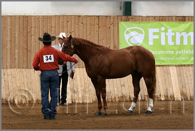 QH061_0064n.jpg (38,2 KB)