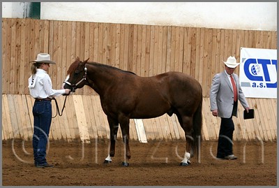 QH061_0066n.jpg (39,1 KB)