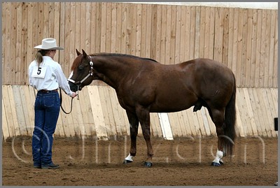 QH061_0067n.jpg (39,1 KB)