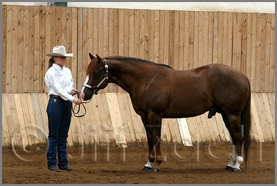 QH061_0068n.jpg (38,9 KB)